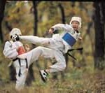 taekwondo sparring